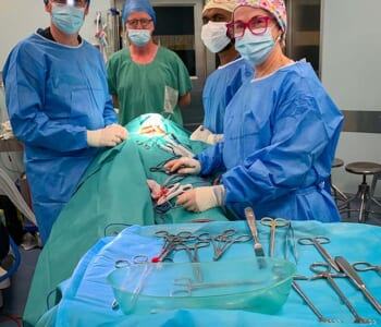 Four people performing surgery, they are wearing surgical masks and medical scrubs. The person being operated on is covered in a blanket and not visable.